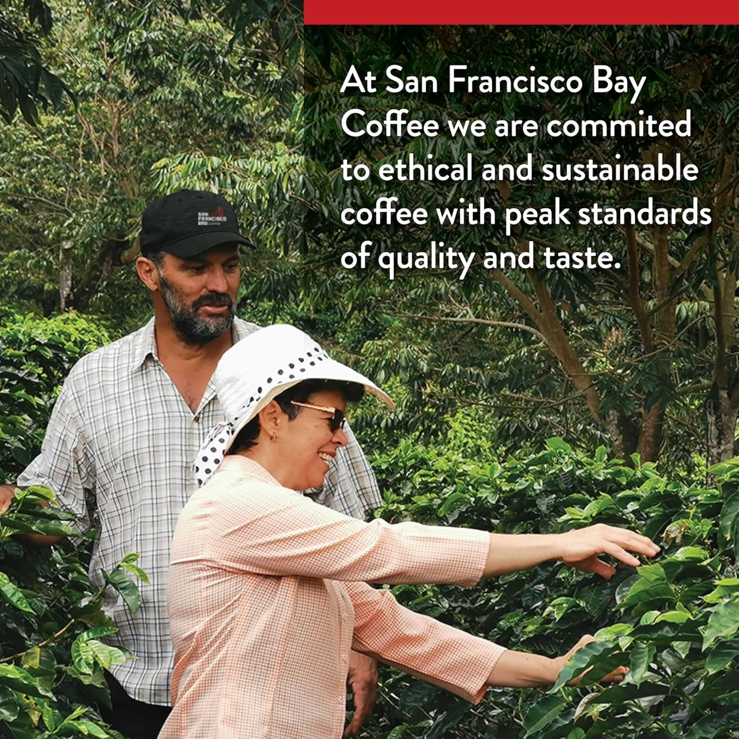 San Francisco Bay Compostable Coffee Pods - 100% Colombian (120 Ct) K Cup Compatible including Keurig 2.0, Medium Roast