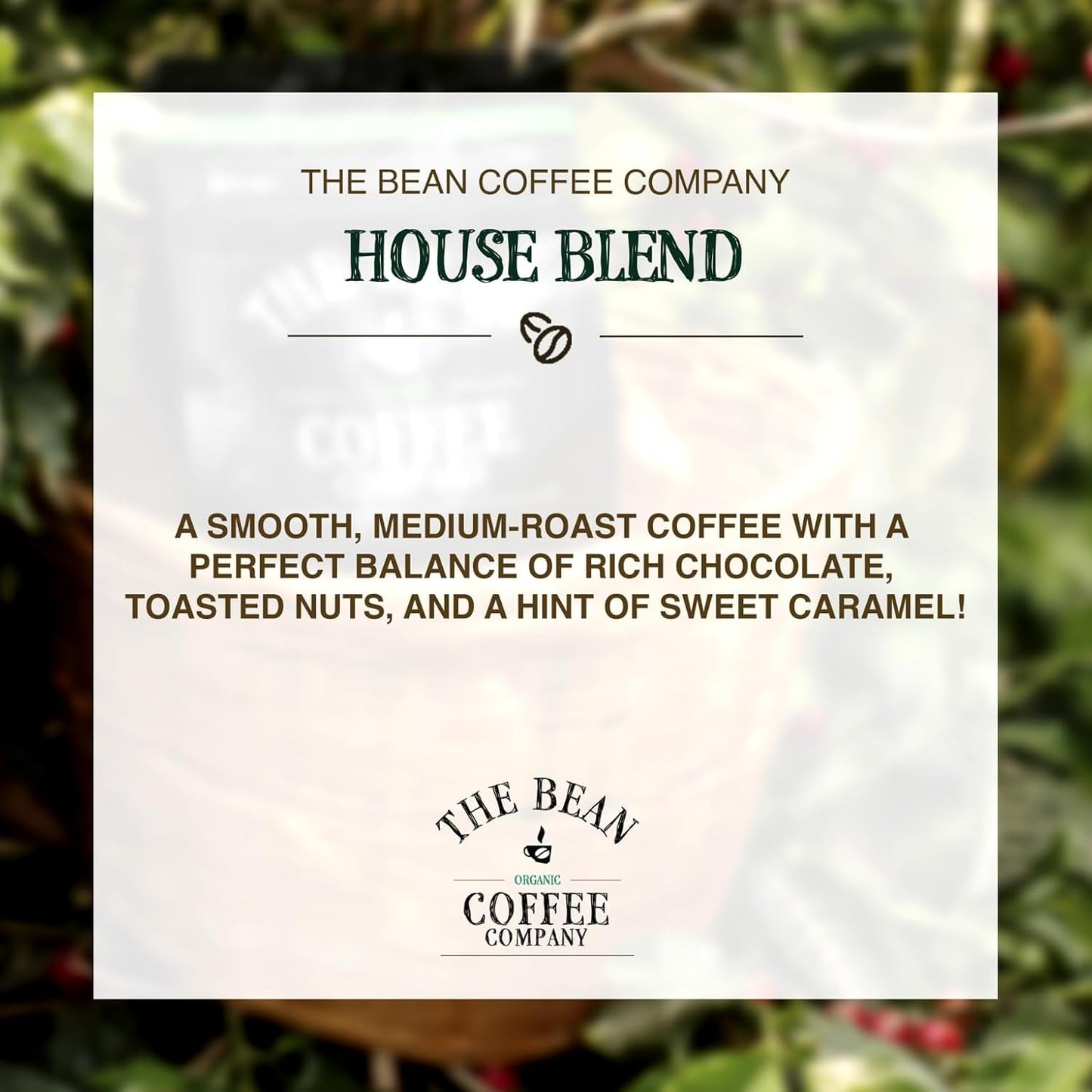 The Bean Organic Coffee Company House Blend, Medium Roast, Ground Coffee, 16-Ounce Bag, Café molido tostado orgánico