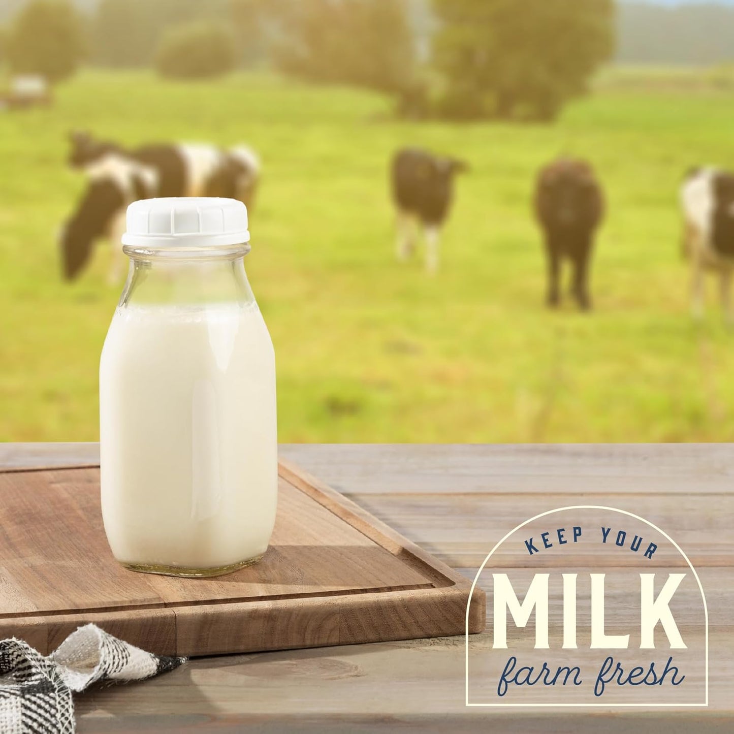 kitchentoolz 12 Oz Square Glass Milk Bottles with Lids (4 Pack) – Reusable Glass Creamer Bottles for Milk, Juice, and More – Includes Tamper-Proof Caps and One Silicone Pour Spout
