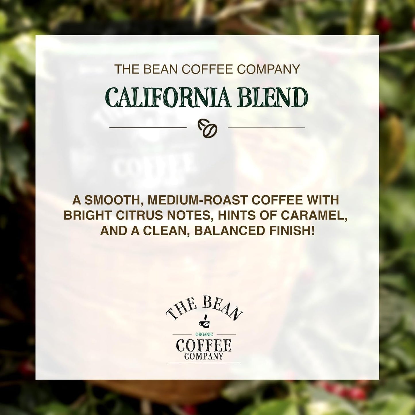 The Bean Organic Coffee Company California Blend, Medium Roast, Ground Coffee, 16-Ounce Bags (Pack of 2), Café molido tostado orgánico