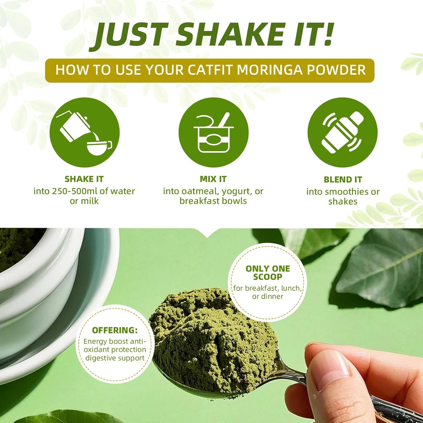 (2 Pack) Moringa Powder – Superfood Blend with Matcha, Green Tea & Resveratrol – Moringa Supplement for Energy, Antioxidant & Immune Support – Vegan, Gluten-Free, Easy-to-Mix Drink (8oz)