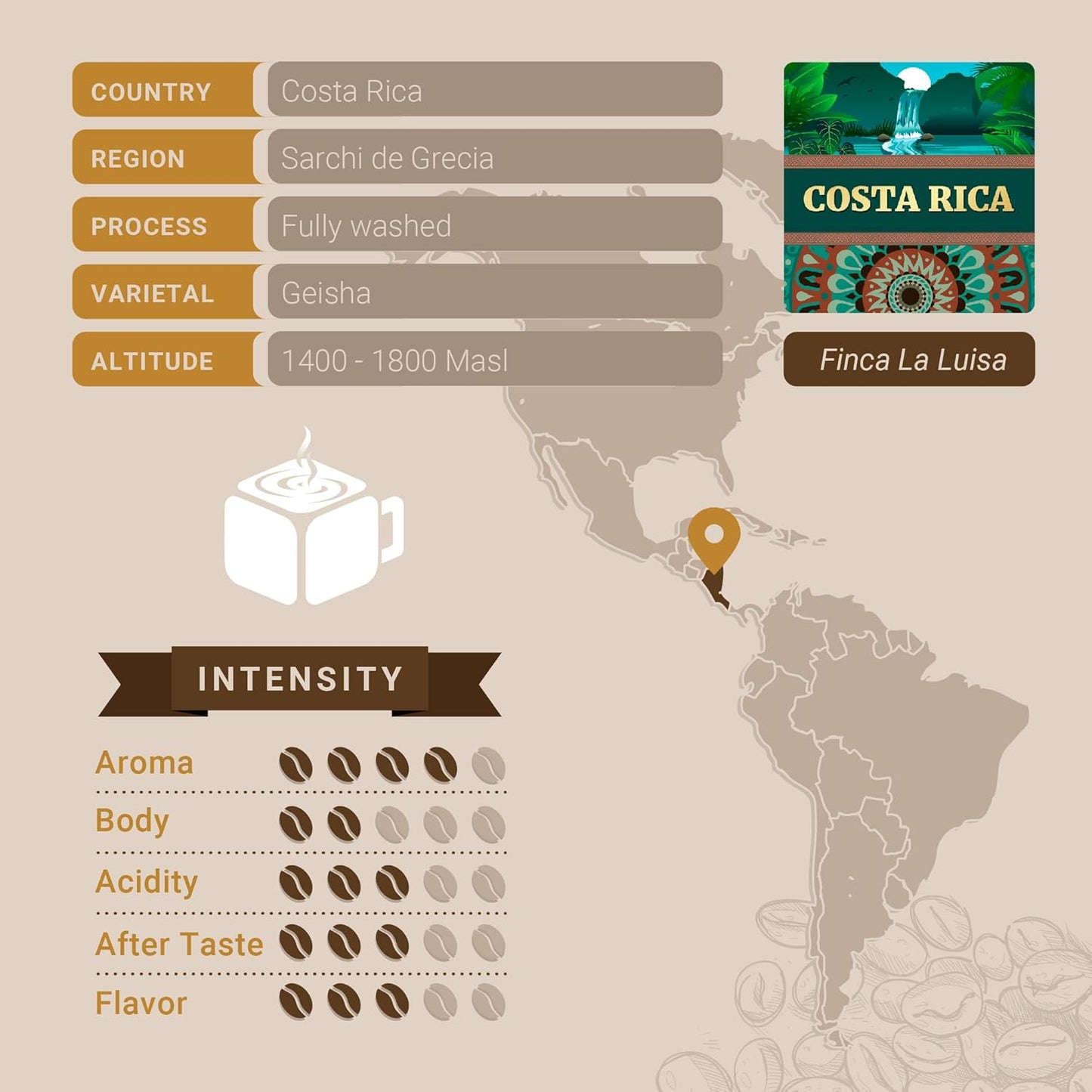 Costa Rican Coffee, Single Serve Coffee Pods, Premium Costa Rica Tarrazu Single Origin Fresh Roasted Coffee | K-Cup Compatible Brewers | Cubico Coffee | 10 Count