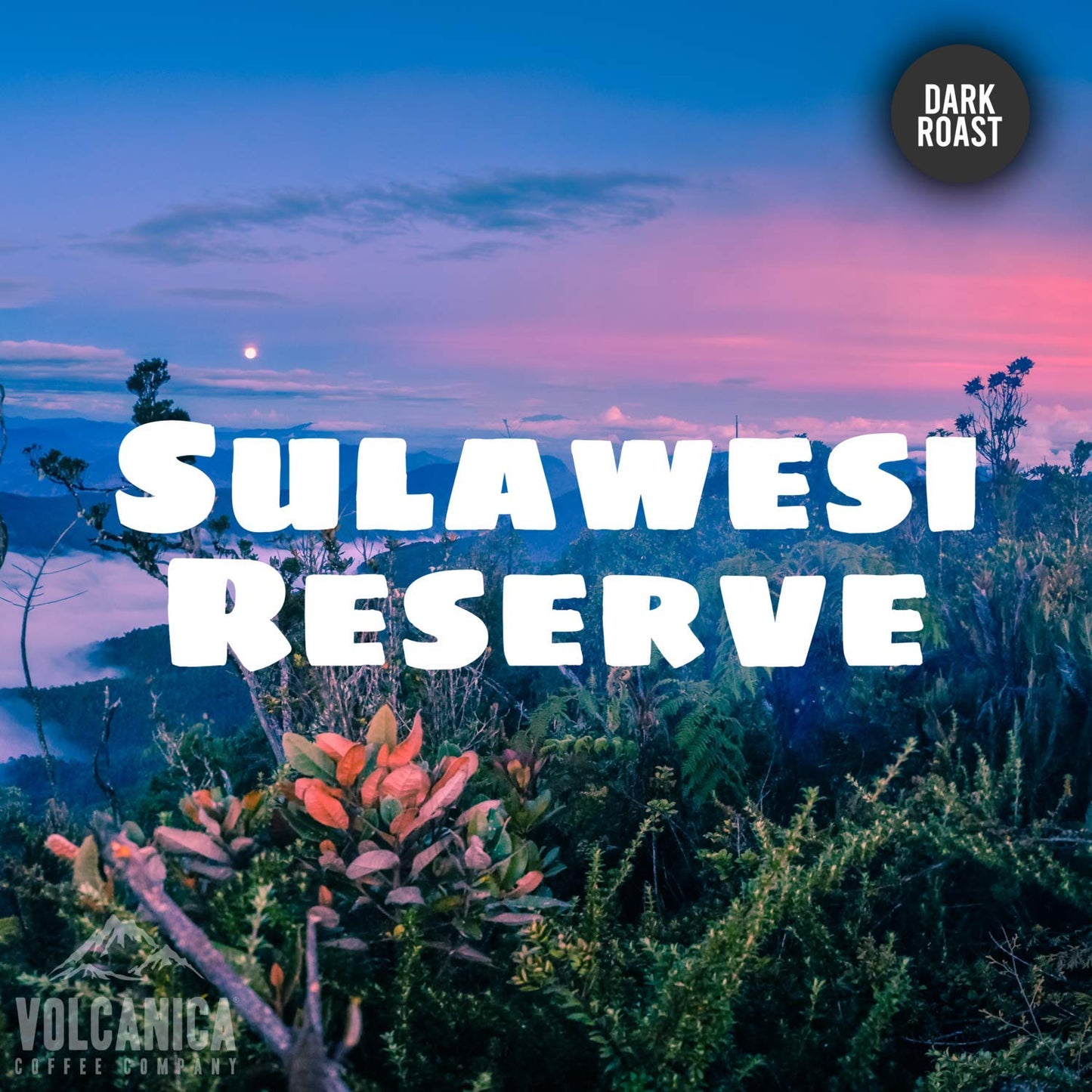 Sulawesi Reserve Coffee, Celebes Kalossi, Whole Bean, Fresh Roasted, 5 lbs