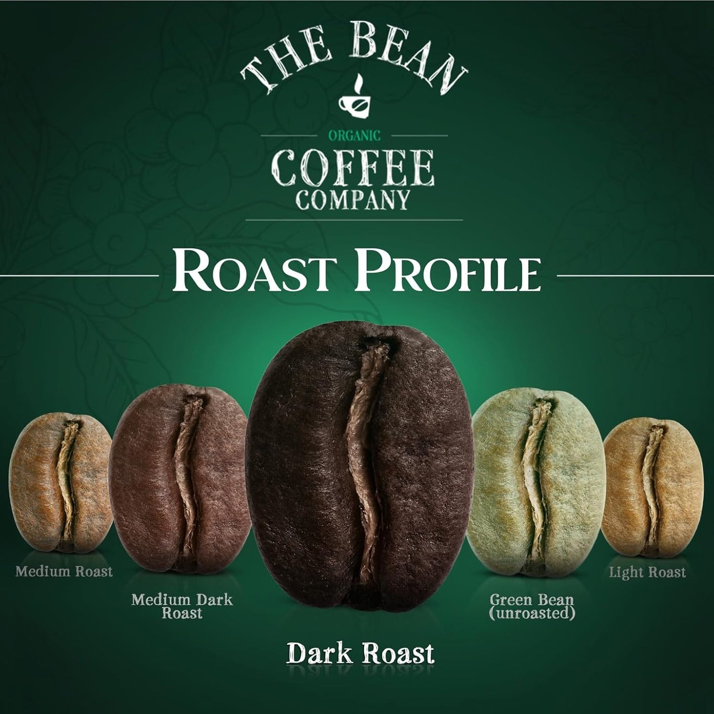 The Bean Organic Coffee Company Suzi's Power Bean, Dark Roast, Whole Bean Coffee, 5-Pound Bag