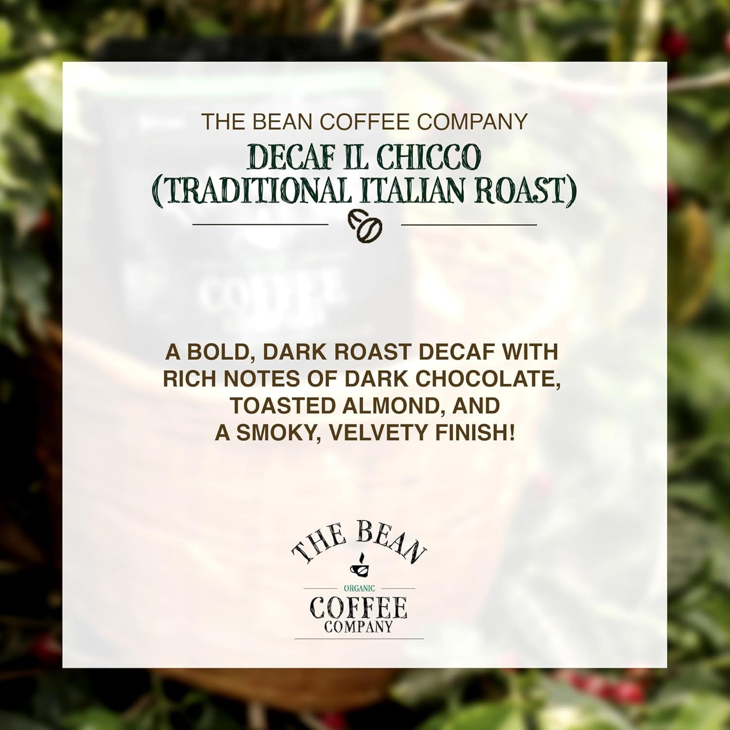 The Bean Organic Coffee Company Water Processed DECAF IL Chicco (Traditional Italian Roast), Dark Roast, Whole Bean Coffee, 16-Ounce Bags (Pack of 2)