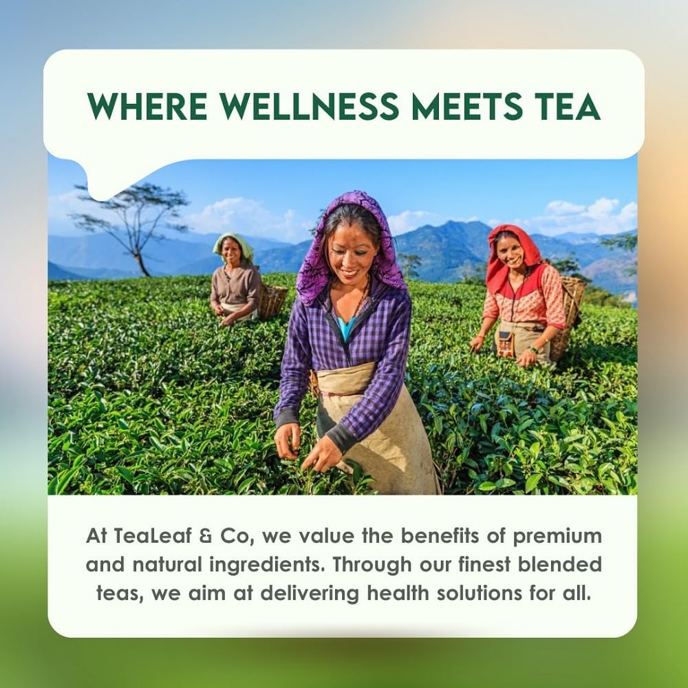 Tea Leaf & Co. Chamomile Green Tea Bags (50 Count), Green Tea with Lemon Extract and Lemongrass, Caffeinated, Real and Natura Green Tea, Blended with Fresh Herbs and Spices, Gluten Free