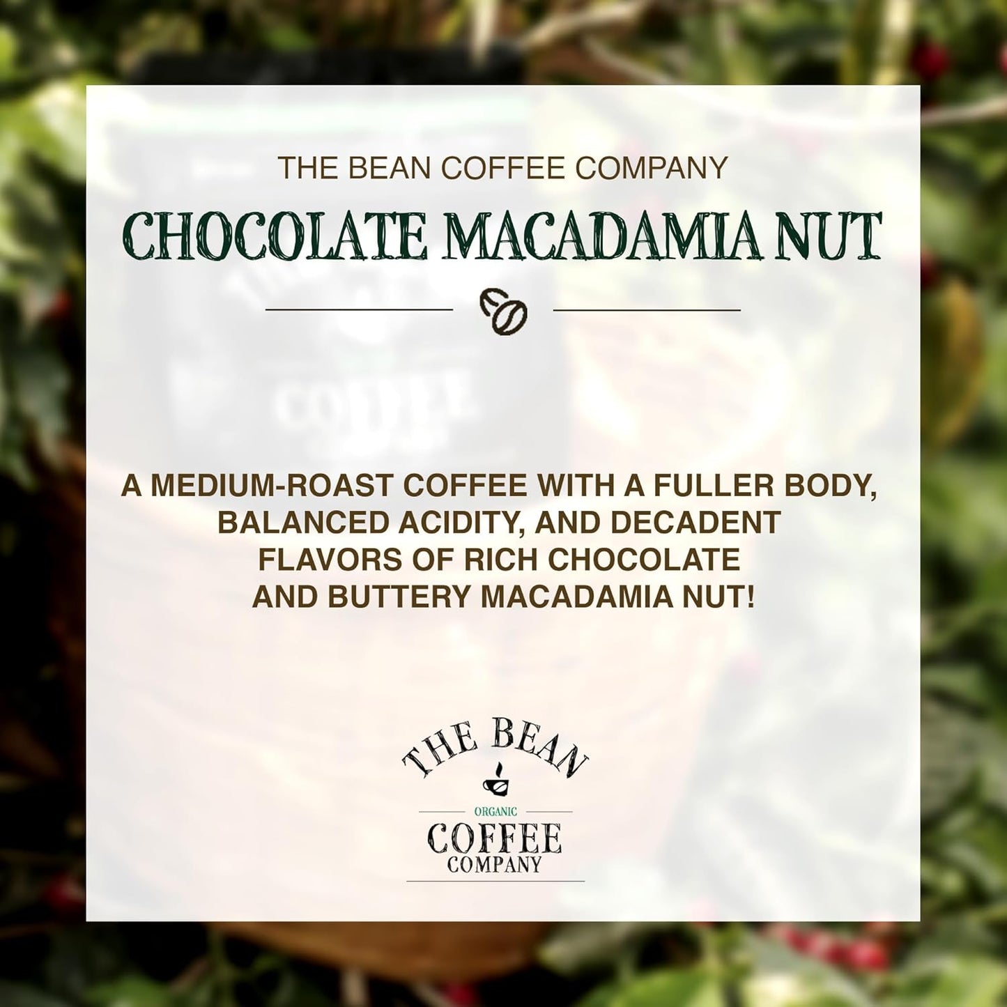 The Bean Organic Coffee Company Chocolate Macadamia Nut, Medium Roast, Ground Coffee, 16-Ounce Bag, Café molido tostado orgánico