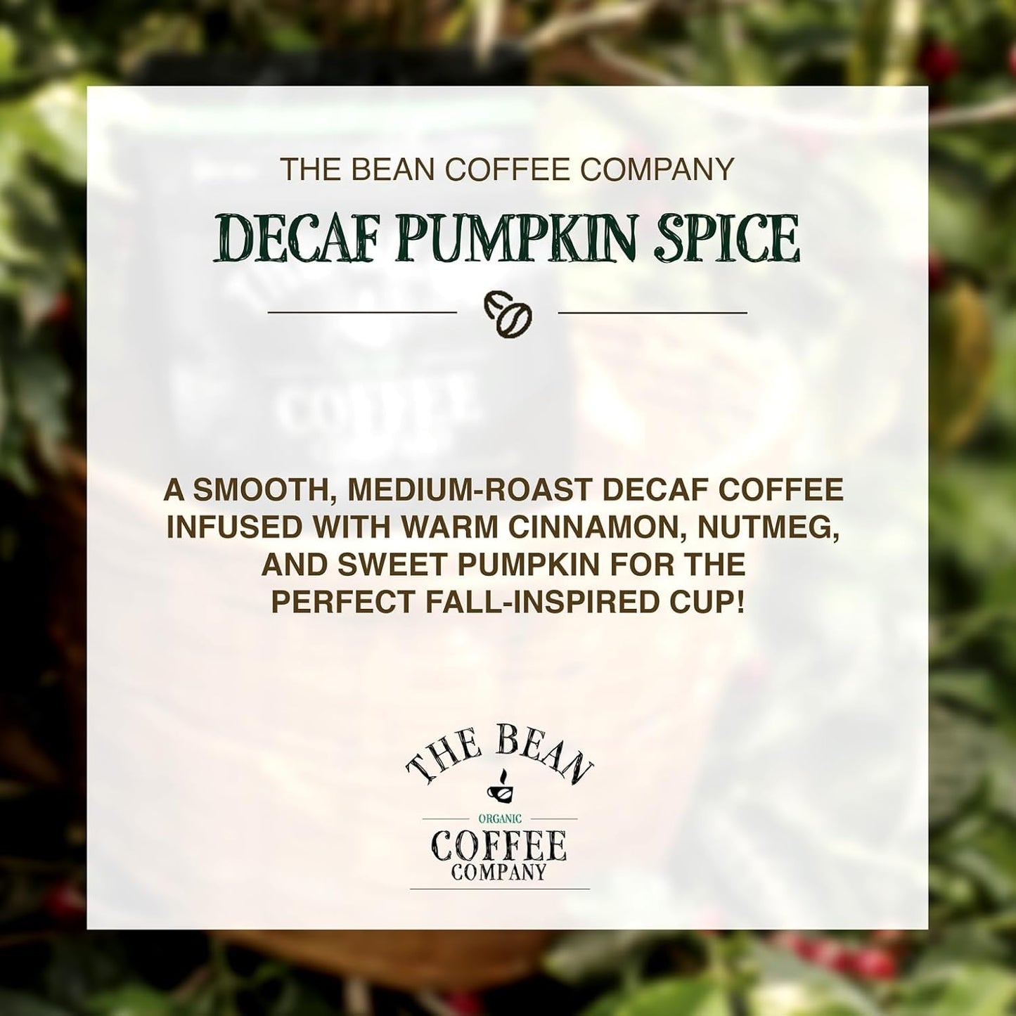 The Bean Organic Coffee Company Water Processed DECAF Pumpkin Spice, Medium Roast, Whole Bean Coffee, 16-Ounce Bags (Pack of 2)