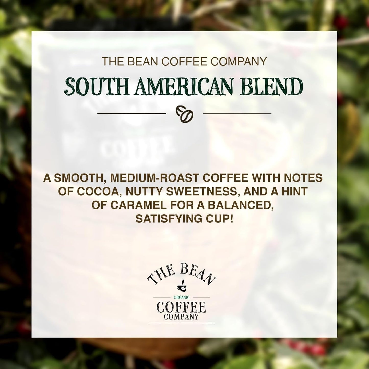The Bean Organic Coffee Company South America, Medium Roast, Ground Coffee, 16-Ounce Bags (Pack of 2),Café molido tostado organico