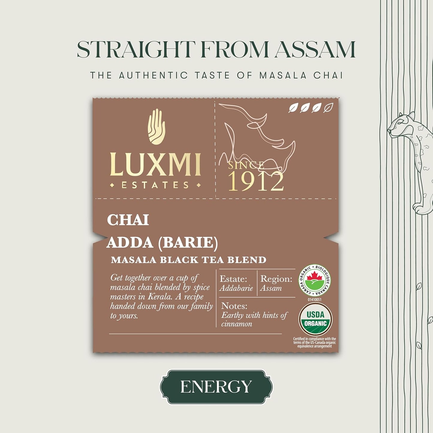 Luxmi Estates Chai Adda-Bari 25 Tea Bags (50g) Pack | Masala Chai | Certified Organic Black Tea