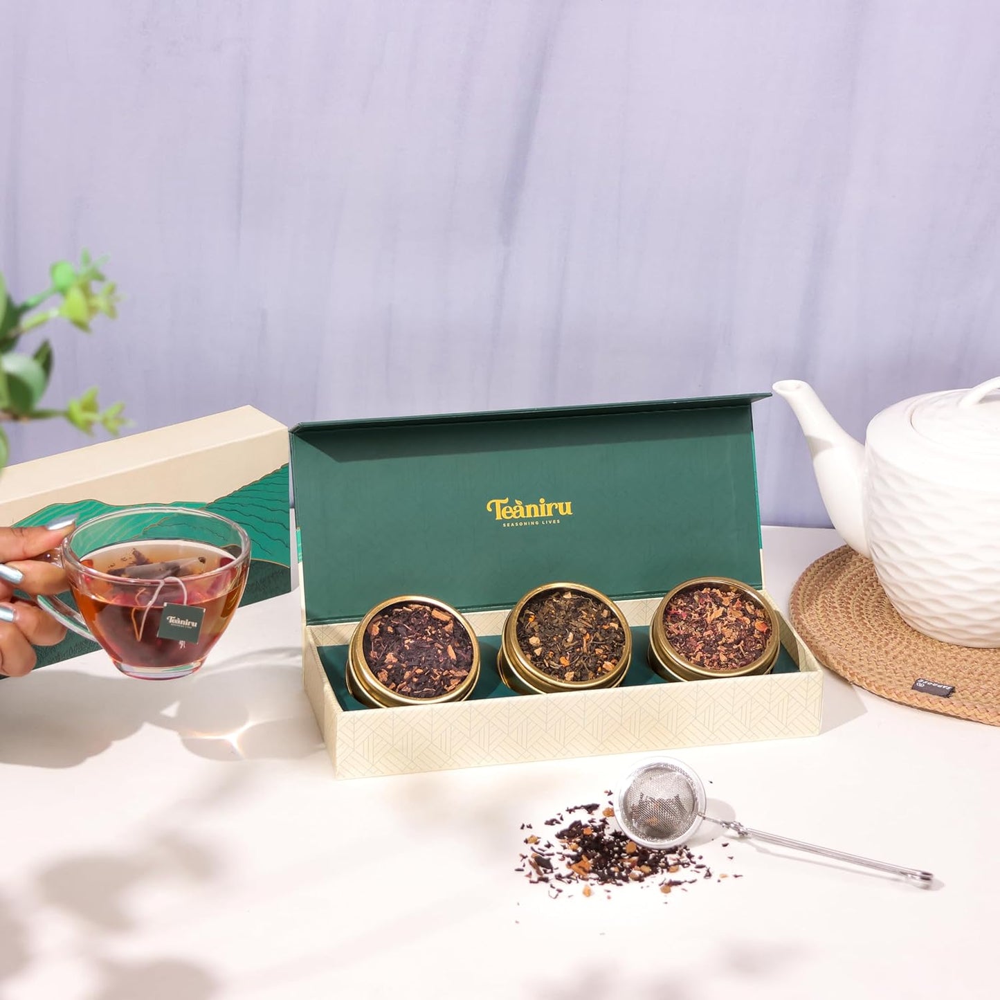 Teaniru, Novelty Tea Gift Box - 1 Carton (Box of 20) | Assorted Loose Leaf Tea Sampler Gift - 3 Flavors in Luxury Gift Box | Bulk Wellness Gifts for Employees, Clients & Family | Brew Hot/Iced