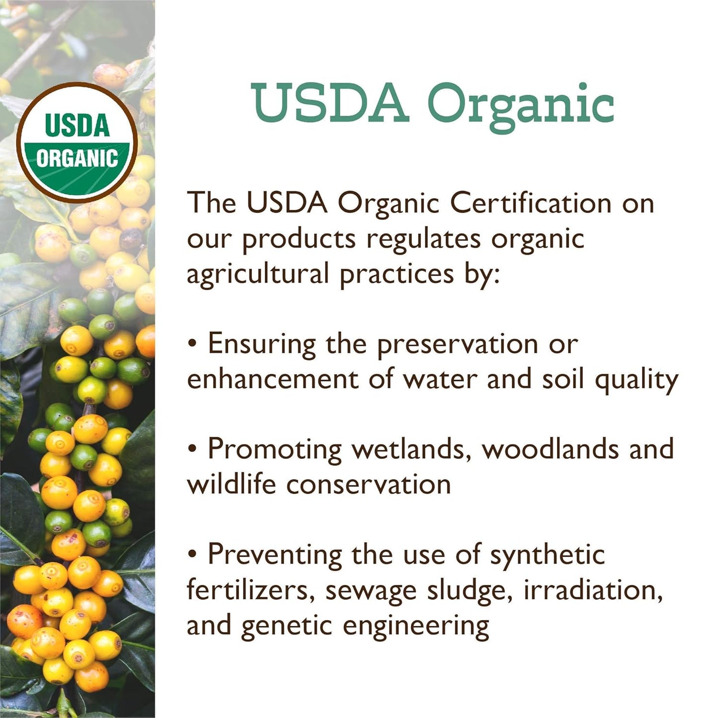Fresh Roasted Coffee, Organic White Knight | USDA Organic, Kosher | Light Roast 5 lb (80 oz), Ground