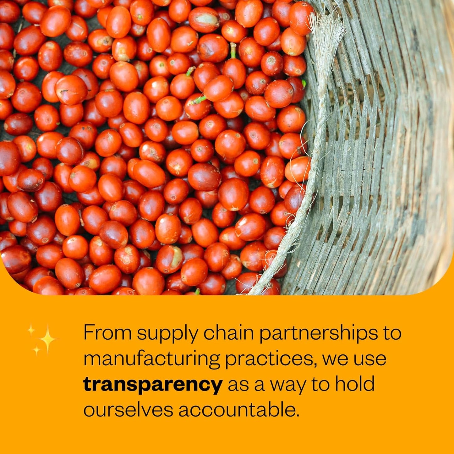 Counter Culture Coffee - Fresh Roasted Certified Organic Whole Bean Coffee (Kosher) (Even Keel)