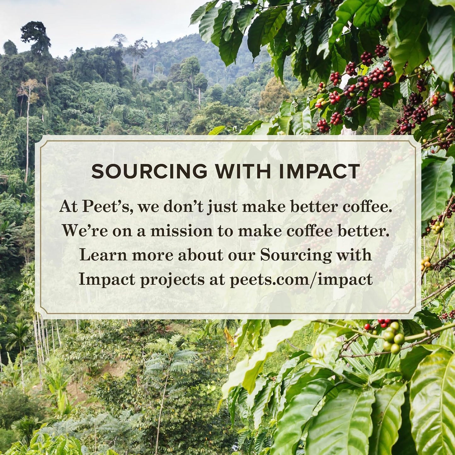 Peet's Coffee, Dark Roast Decaf Single Serve Coffee Pods - Decaf House Blend 32 Count (1 Box of 32 Pods)